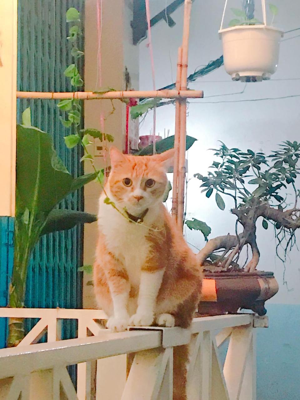 Qcub1 Homestay Thành Pho Ho Chí Minh Esterno foto