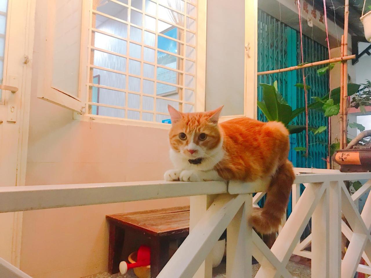 Qcub1 Homestay Thành Pho Ho Chí Minh Esterno foto